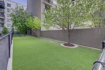 Enclosed dog park